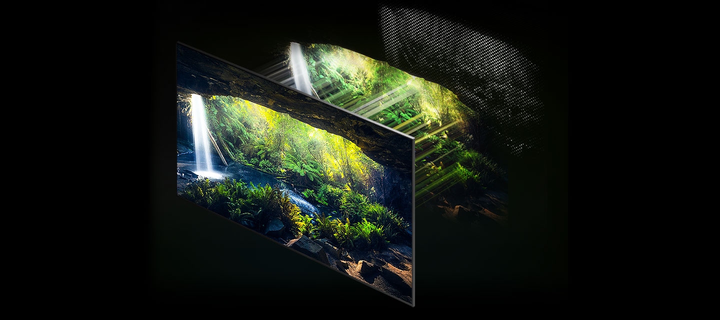 Một màn hình với khu rừng tuyệt đẹp nhìn từ bên trong hang động được hiển thị rất rõ ràng thông qua đèn Quantum Mini LEDs ở phía sau điều khiển ánh sáng một cách chính xác.
