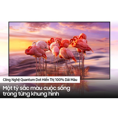 QLED Tivi 4K Samsung 75Q60A 75 inch Smart TV Mới 2021 4