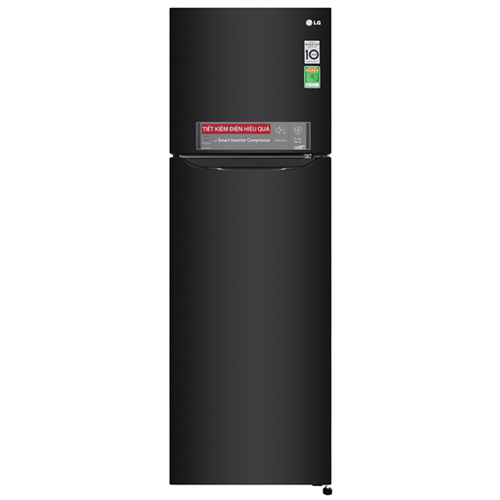 Tủ lạnh LG Inverter 255 lít GN-M255BL 1