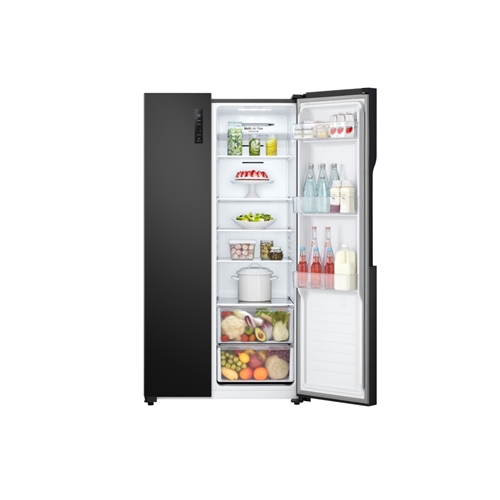 Tủ Lạnh LG Inverter 519 Lít GR-B256BL 2