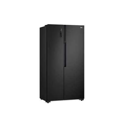 Tủ Lạnh LG Inverter 519 Lít GR-B256BL 1