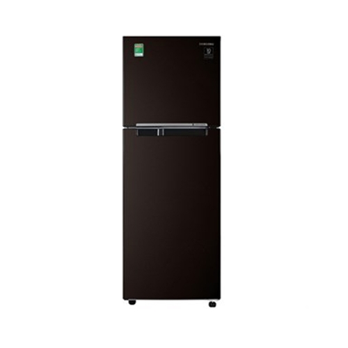 Tủ lạnh Samsung Inverter 208 lít RT20HAR8DBU/SV 0
