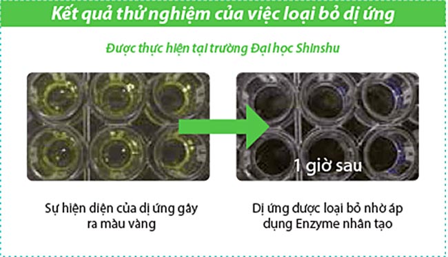 may-lanh-mitsubishi-electric-ms-js-vf-mang-loc-enzyme-1 may-lanh-mitsubishi-electric-ms-js-vf-mang-loc-enzyme