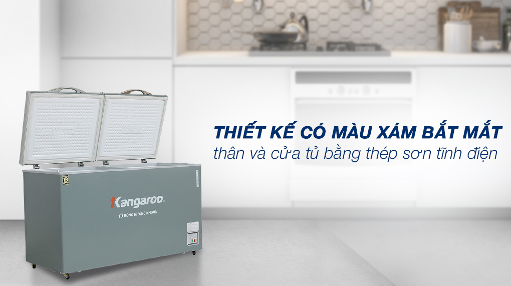 Tủ đông phủ sơn màu xám đẹp mắt Tủ đông