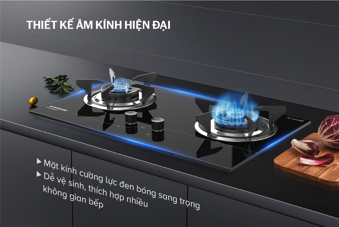 bep gas am kinh sunhouse shb62030 189110 1